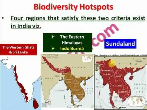 Topic-10 | Biodiversity Hotspots in India | Environment & Ecology for UPSC - YouTube